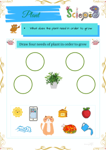 grade 1 science worksheets parts and cycle of plants