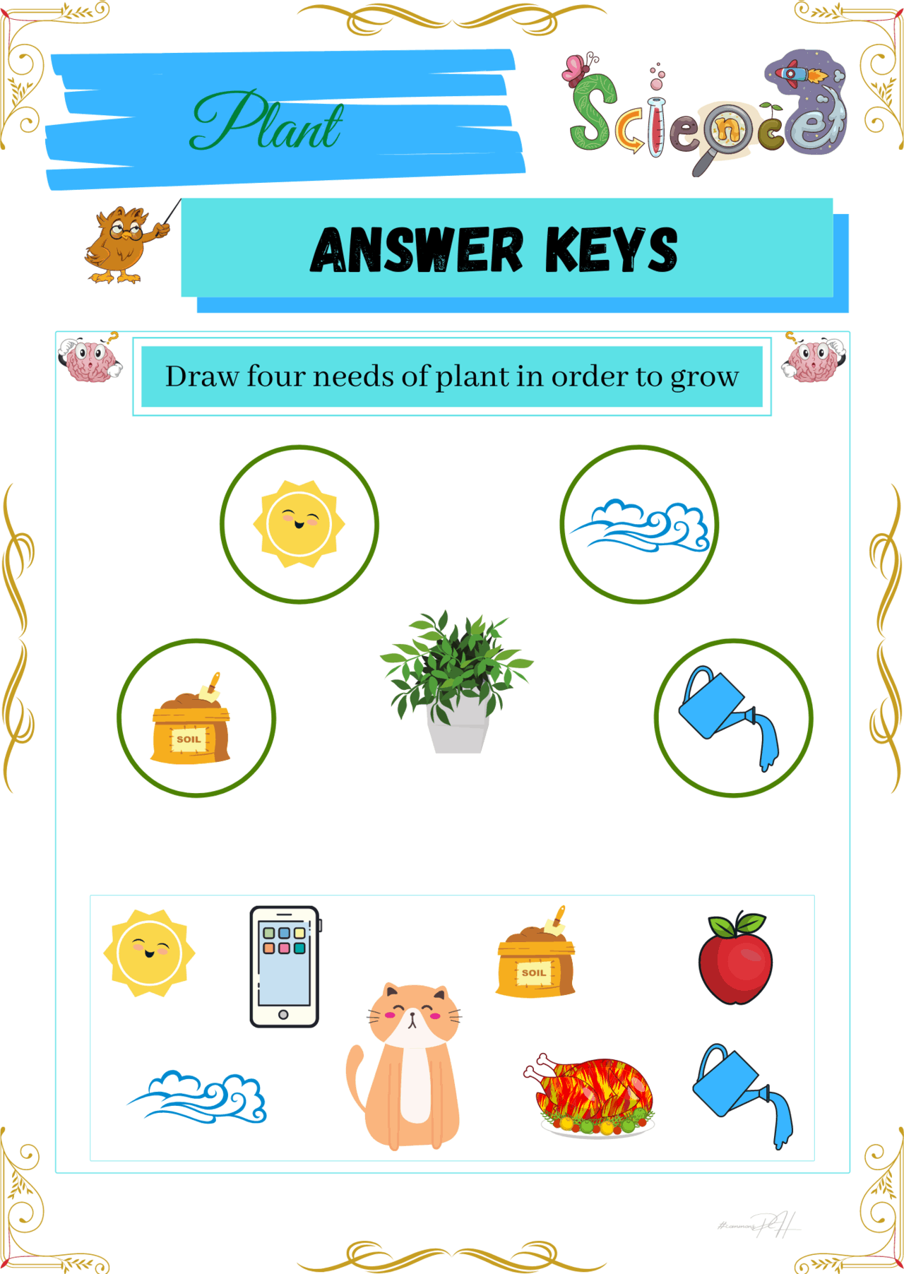 grade 1 science worksheets parts and cycle of plants