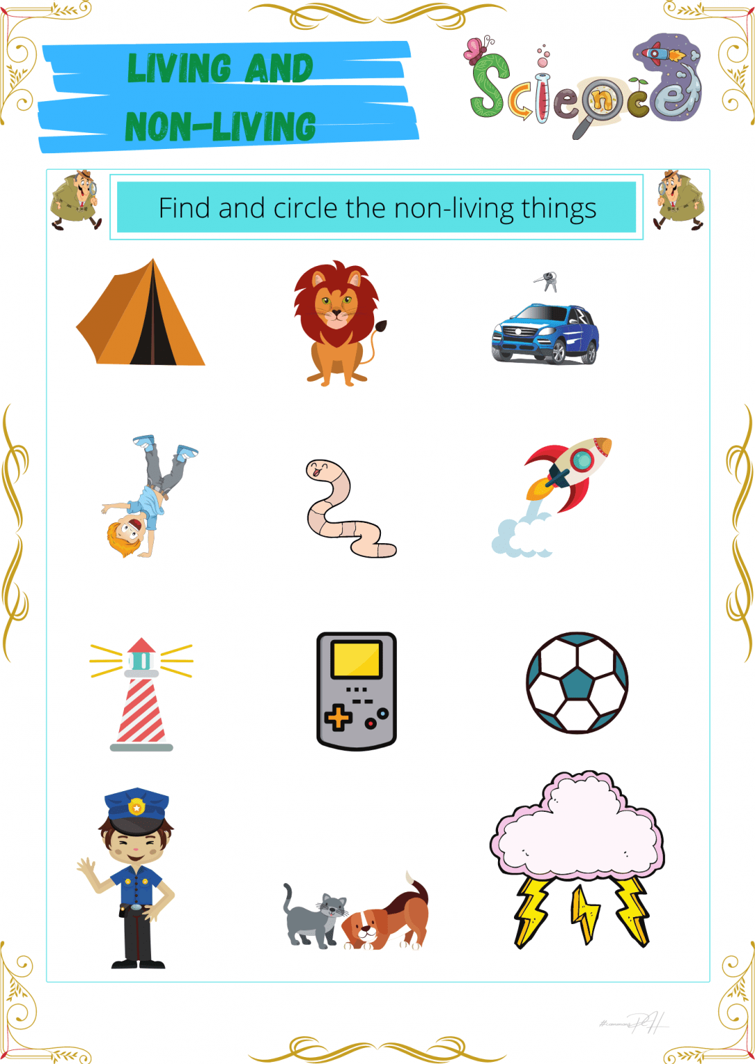 Grade 1 Science Worksheet | Living Things and Non-Living Things