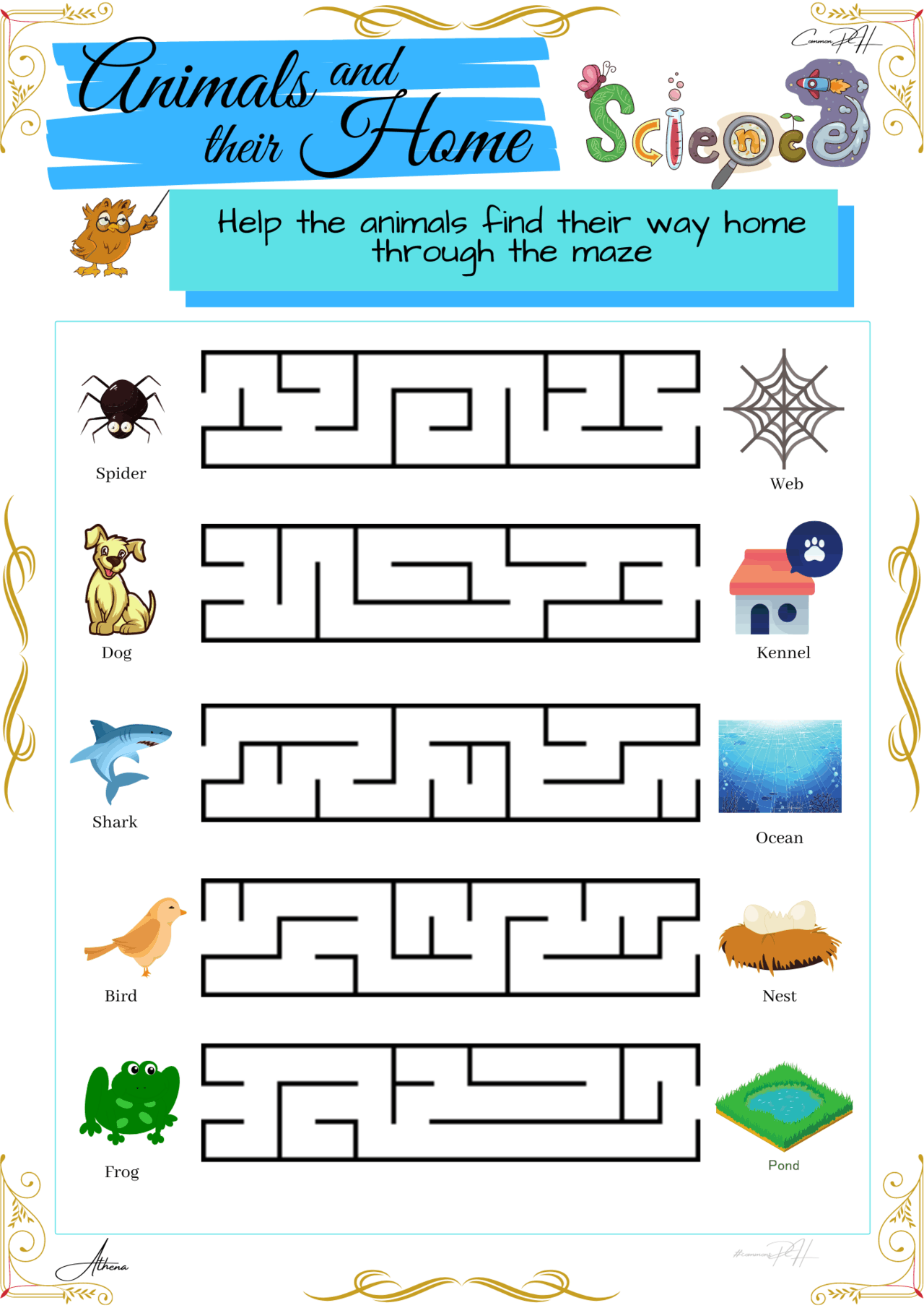 Grade 1 Science Activity | Animal Shelter and Their Offspring | Maze