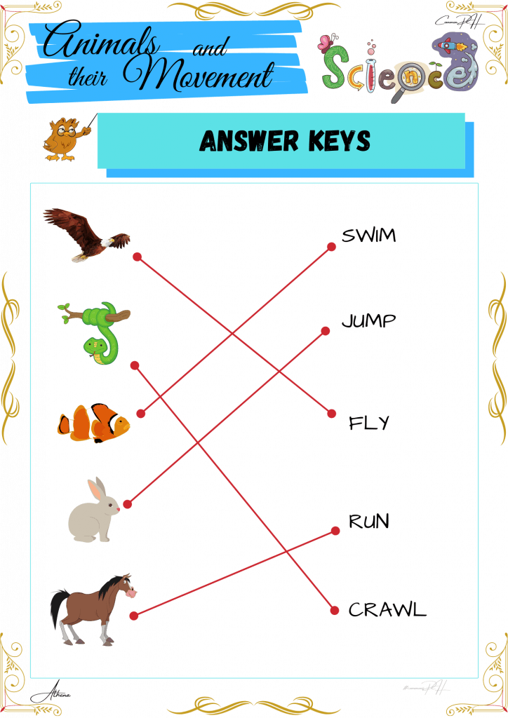 Grade 1 Science Worksheet | How Animals Move