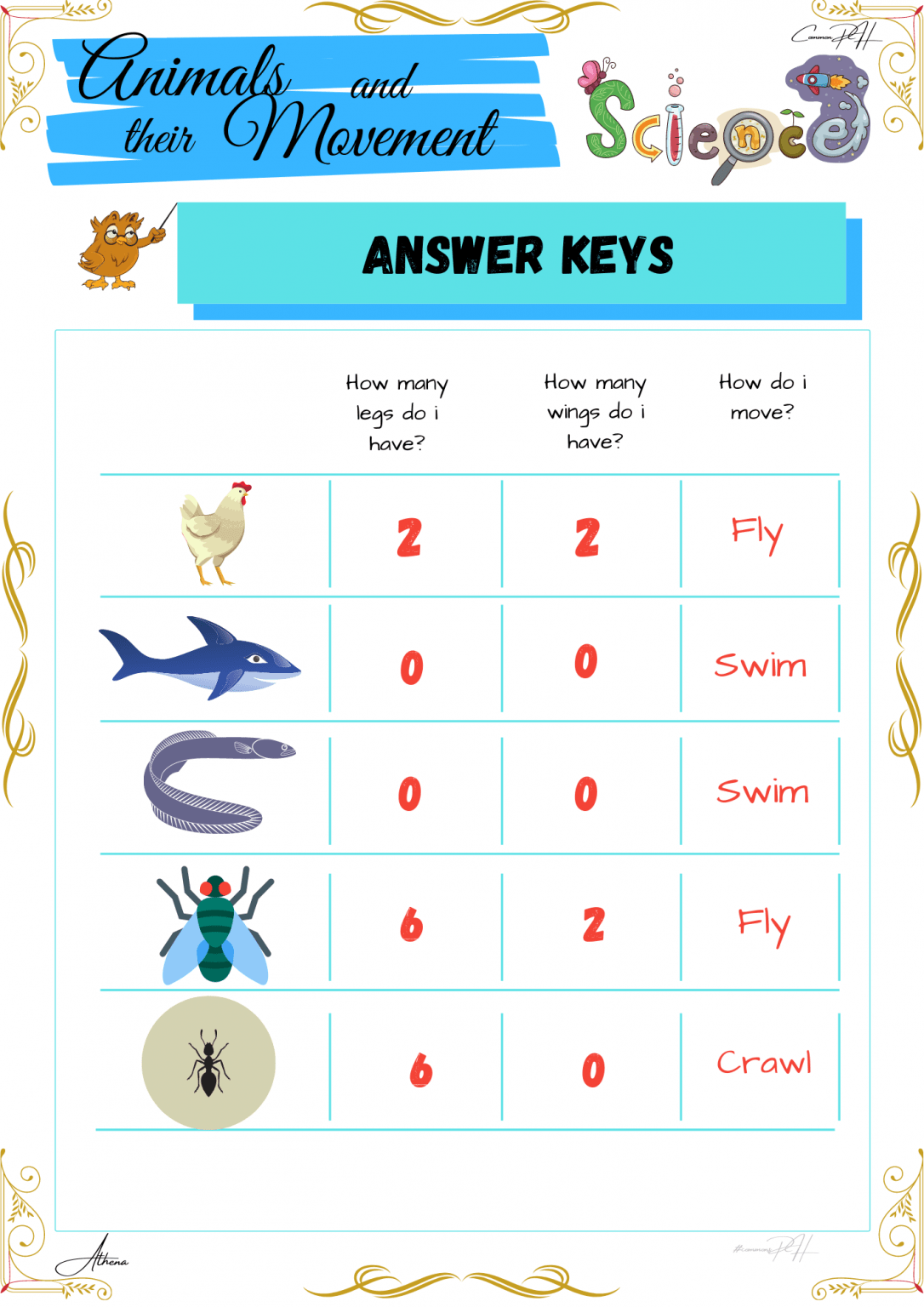 grade 1 science worksheet how animals move