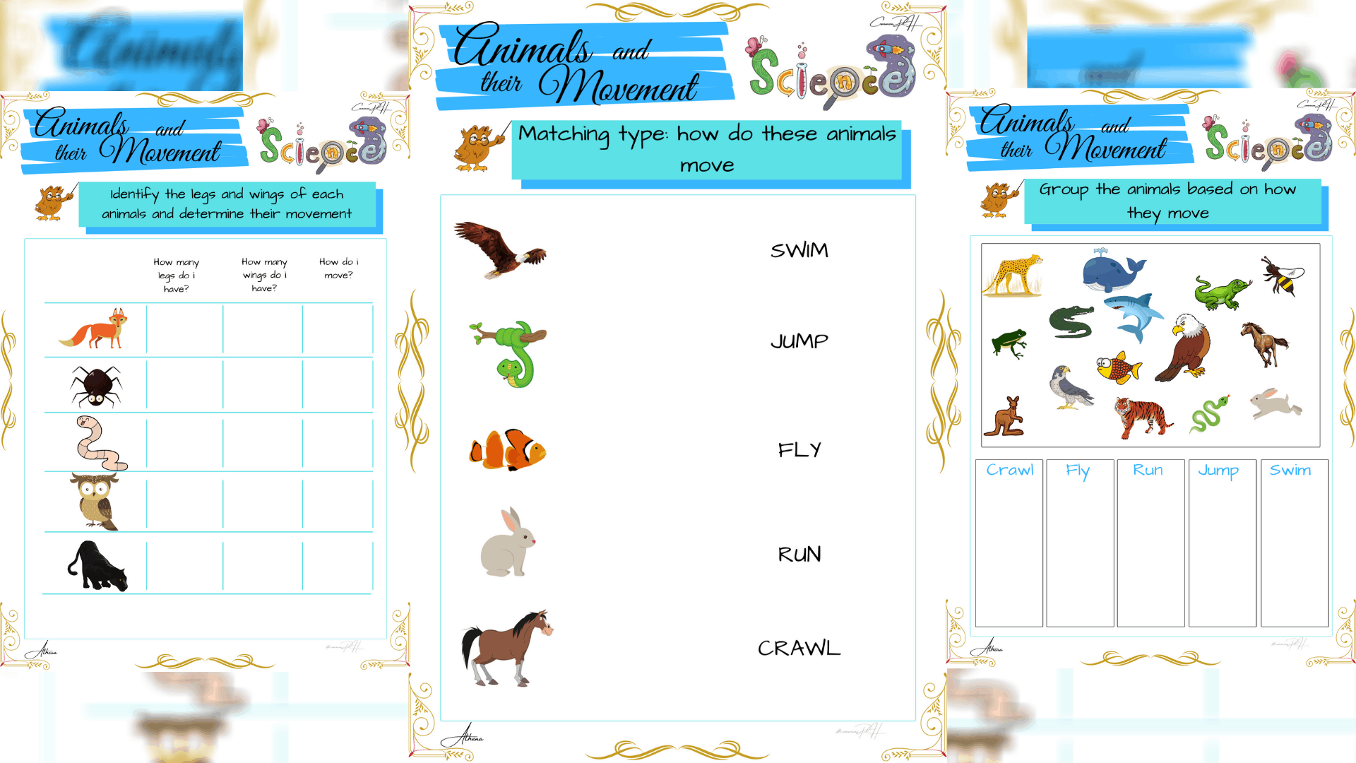 grade 1 science worksheet how animals move